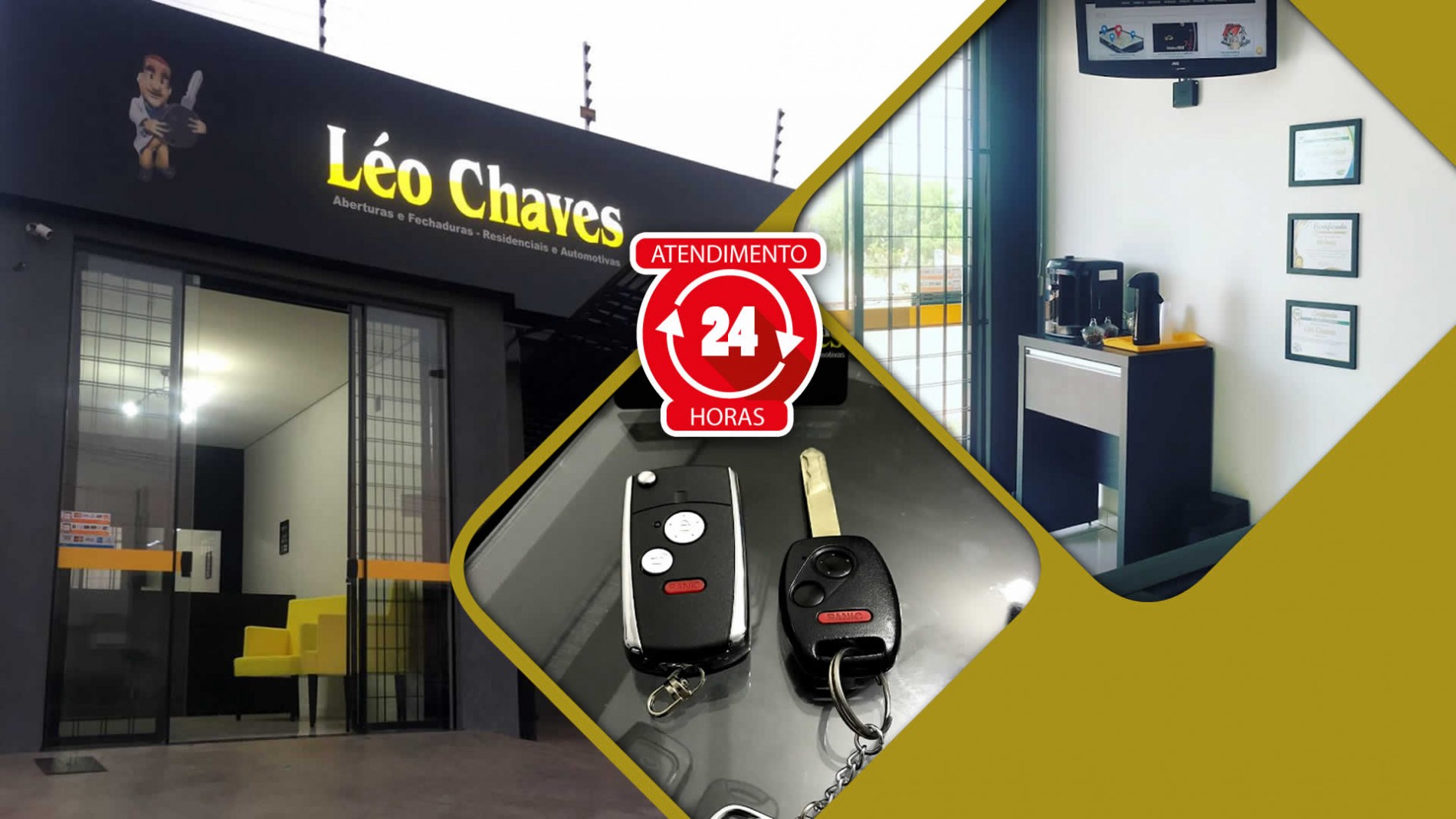 Profissional Léo Chaves